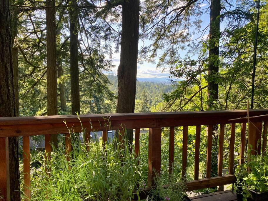 Holiday home Forest Gallery- Mid-century Modern With Views *