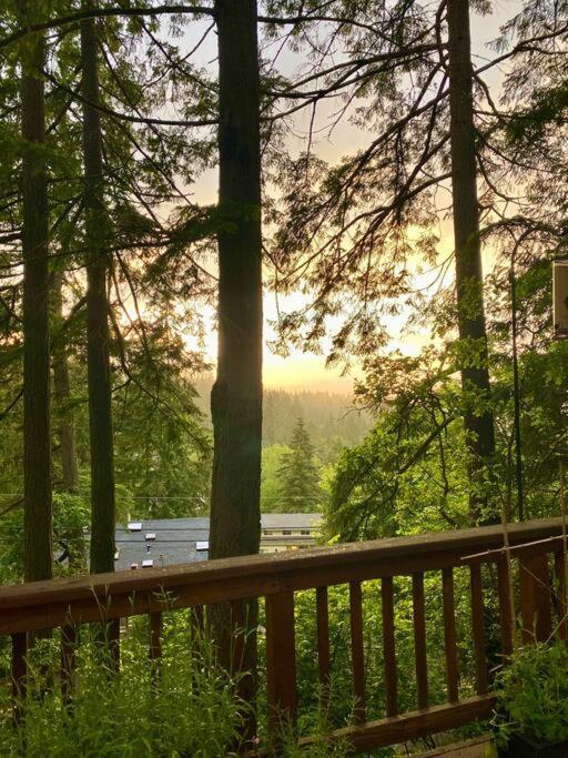 Forest Gallery- Mid-century Modern With Views * Eugene