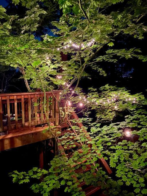 Forest Gallery- Mid-century Modern With Views Holiday home *