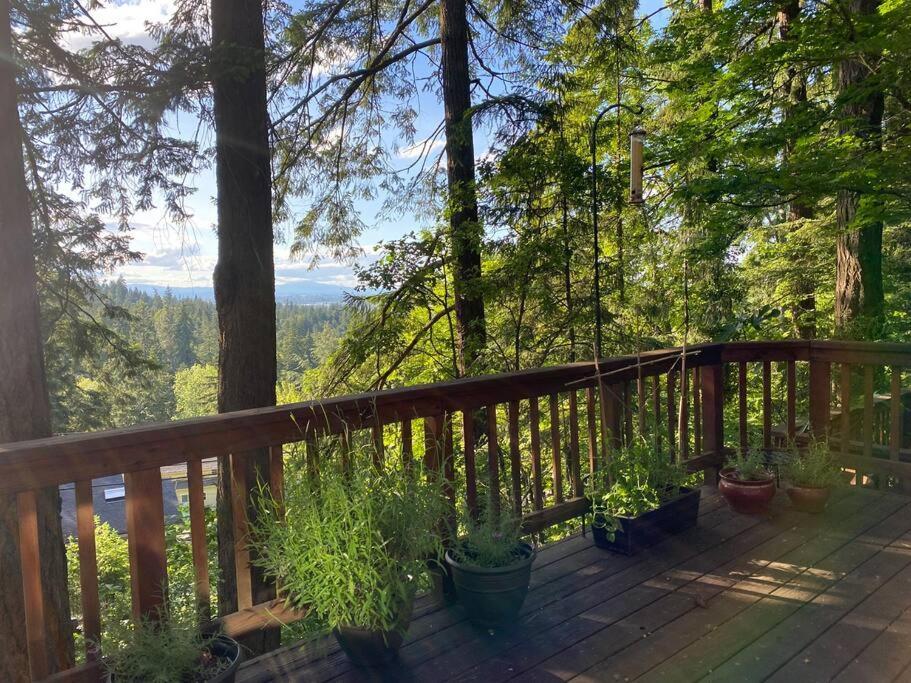 Forest Gallery- Mid-century Modern With Views