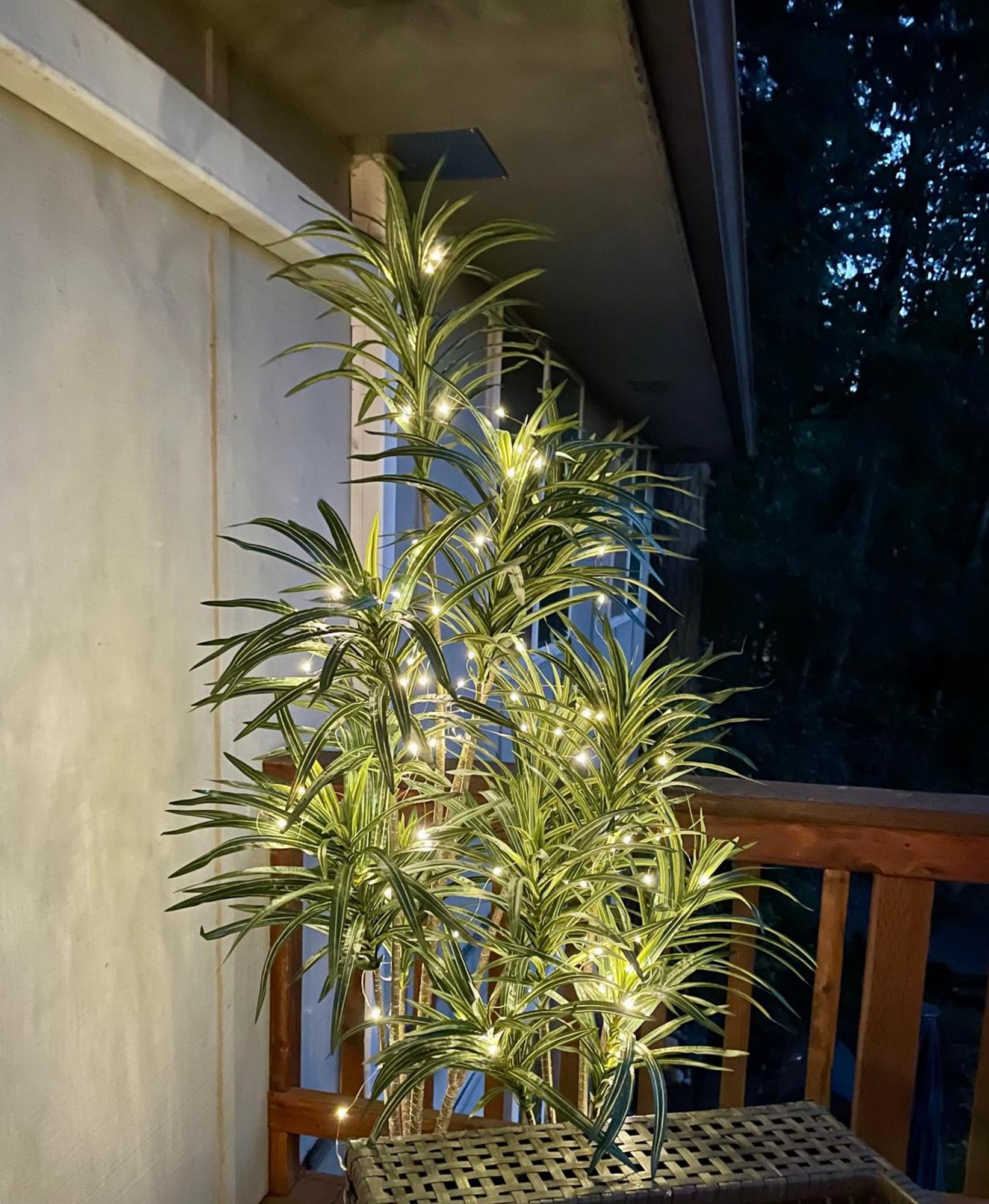 Forest Gallery- Mid-century Modern With Views *