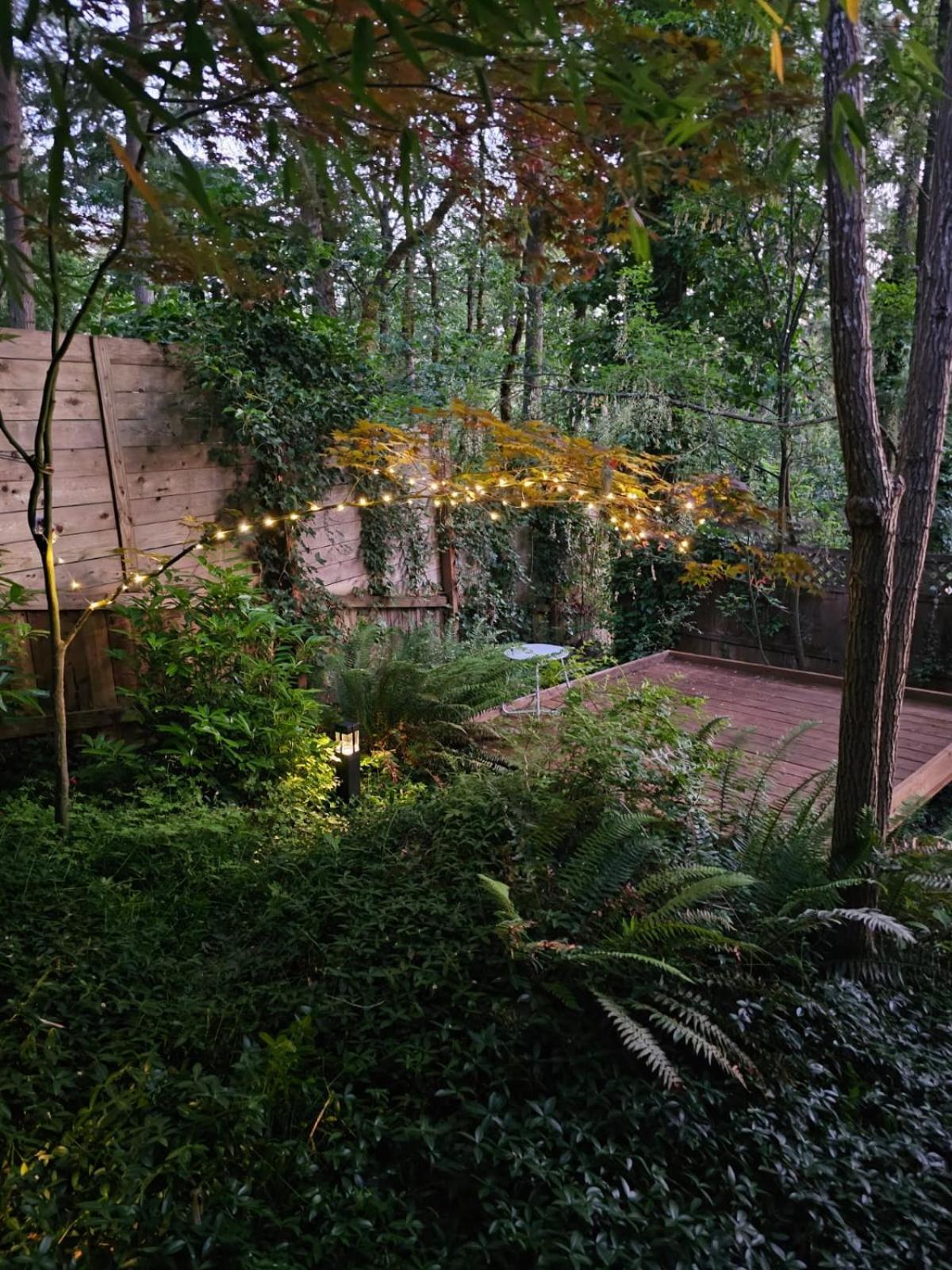 Forest Gallery- Mid-century Modern With Views Ferienhaus Eugene